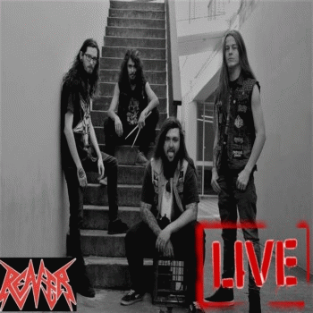 Reaver (AUS) : Live at the Valve